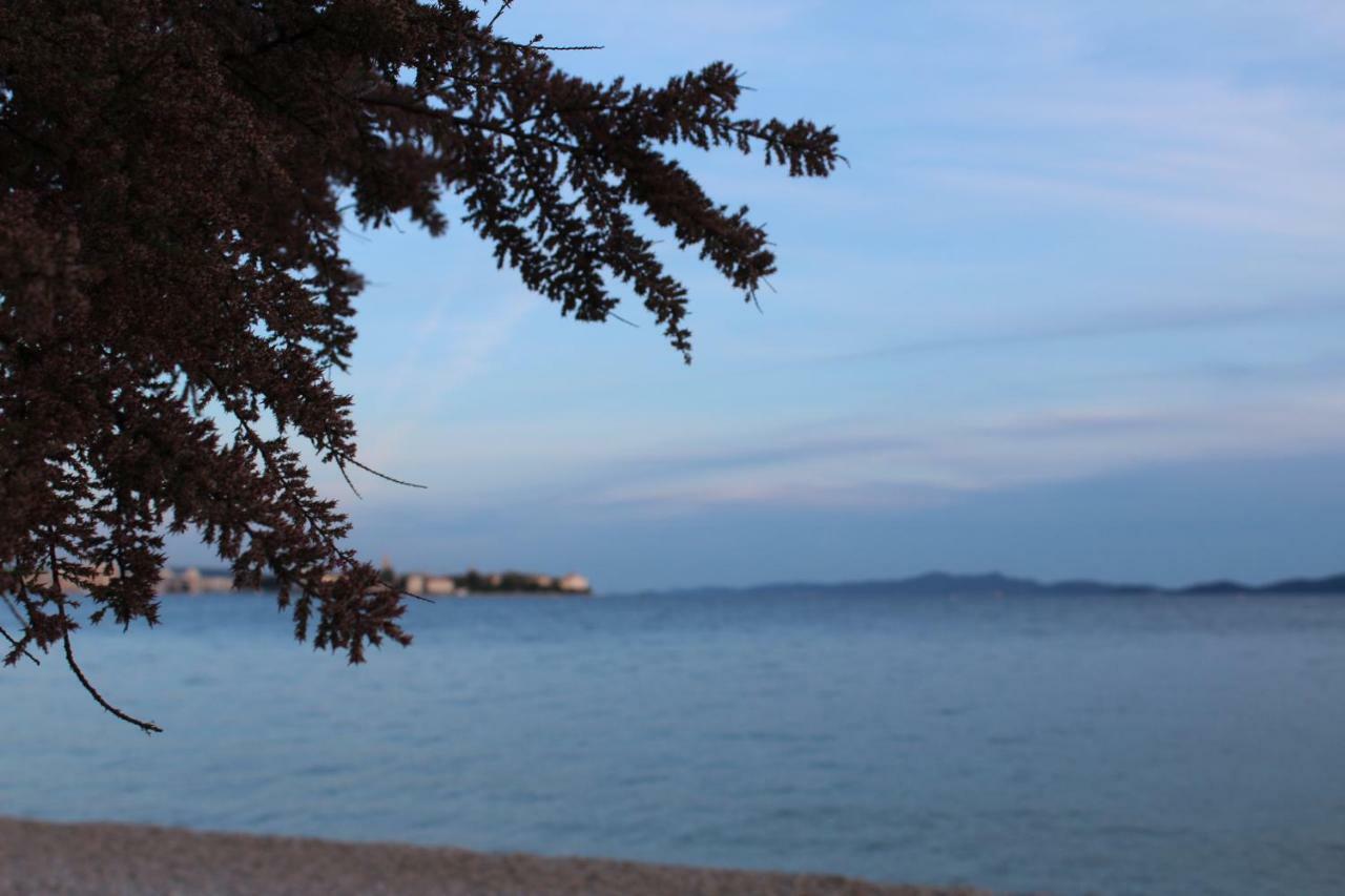 Apartment Ante Zadar