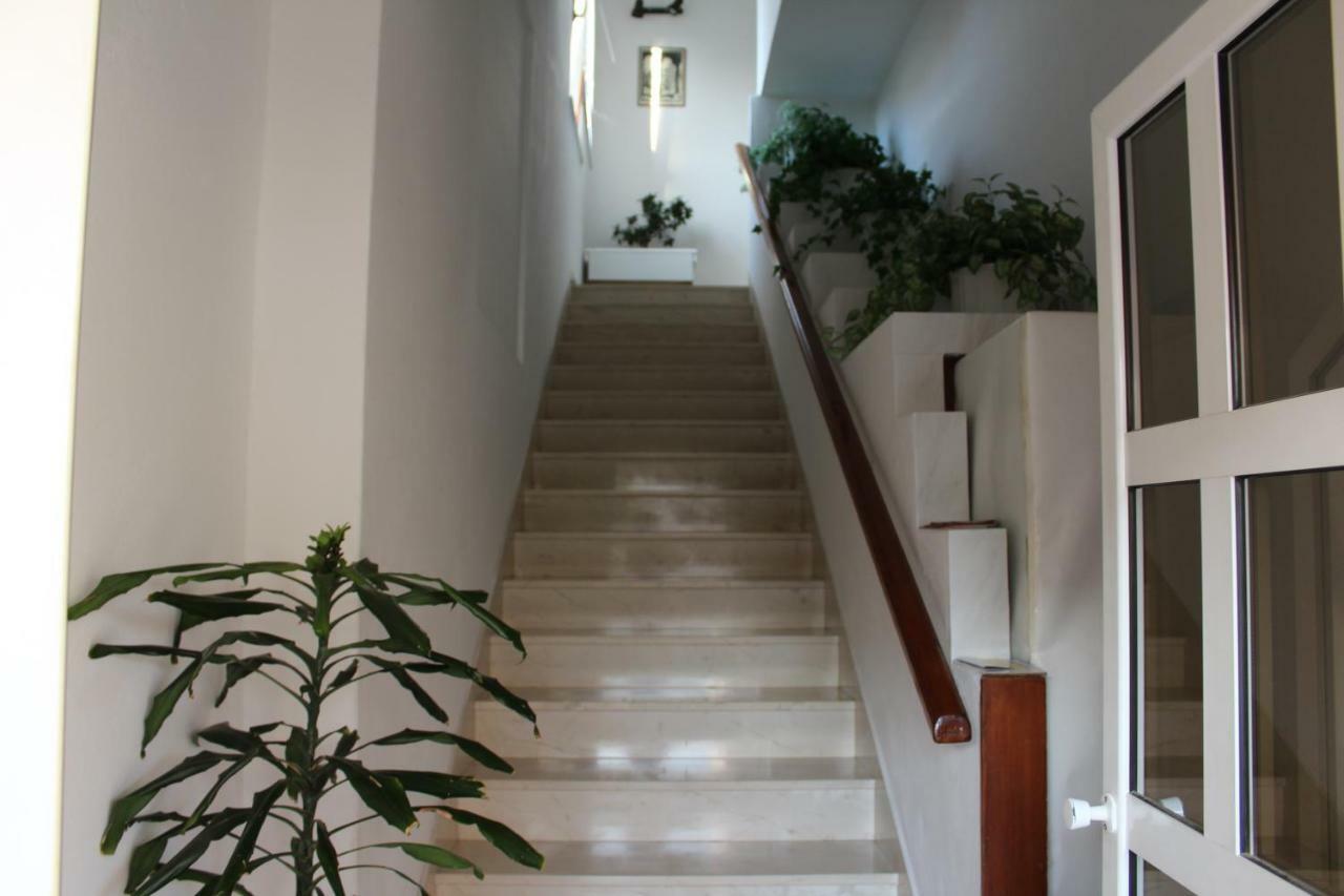 Ante Appartement